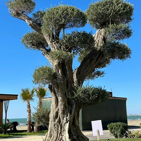 Ori-rent Апартаменты *