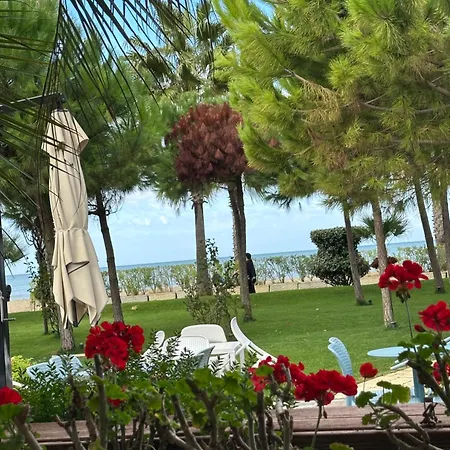 Ori-rent Golem (Tirana)