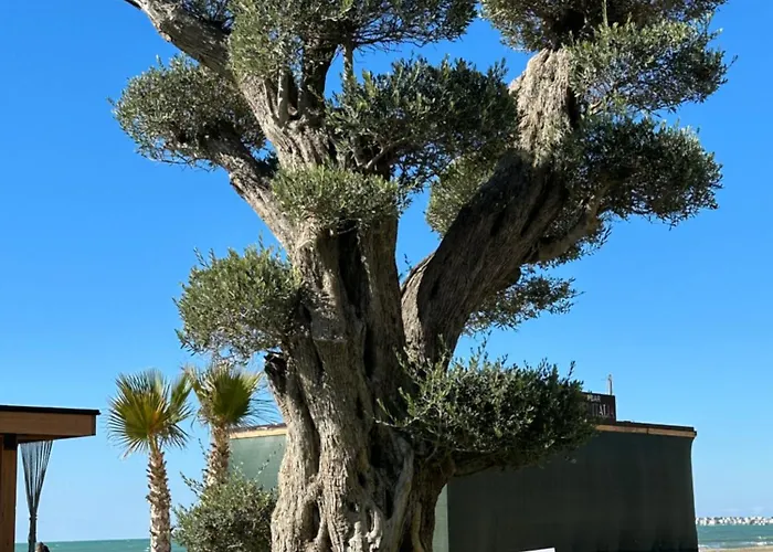 Ori-rent Apartment *